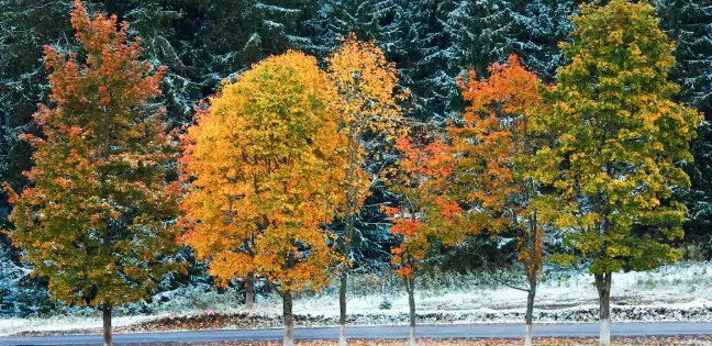 Les charmes (cachés) de l'automne et de l'hiver !